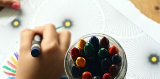 Przedszkole i wczesna edukacja