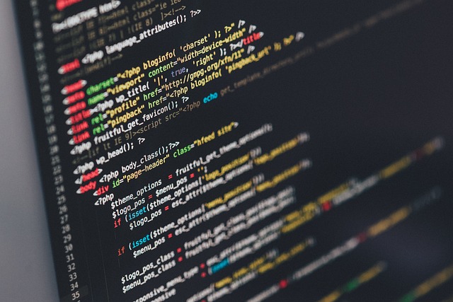 Programowanie i development