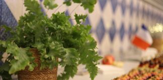 Rozwożenie cateringu – jak spiąć logistykę w transporcie chłodniczym? Rozwożenie cateringu – jak spiąć logistykę w transporcie chłodniczym?